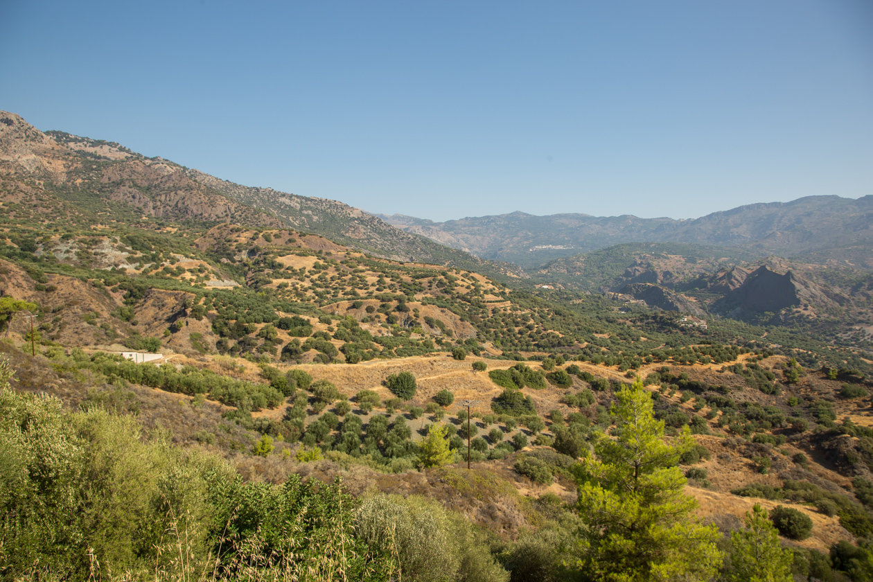 kreta-heuvelachtig-landschap-met-olijfbomen