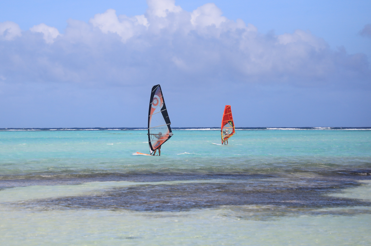 bonaire-windsurfers