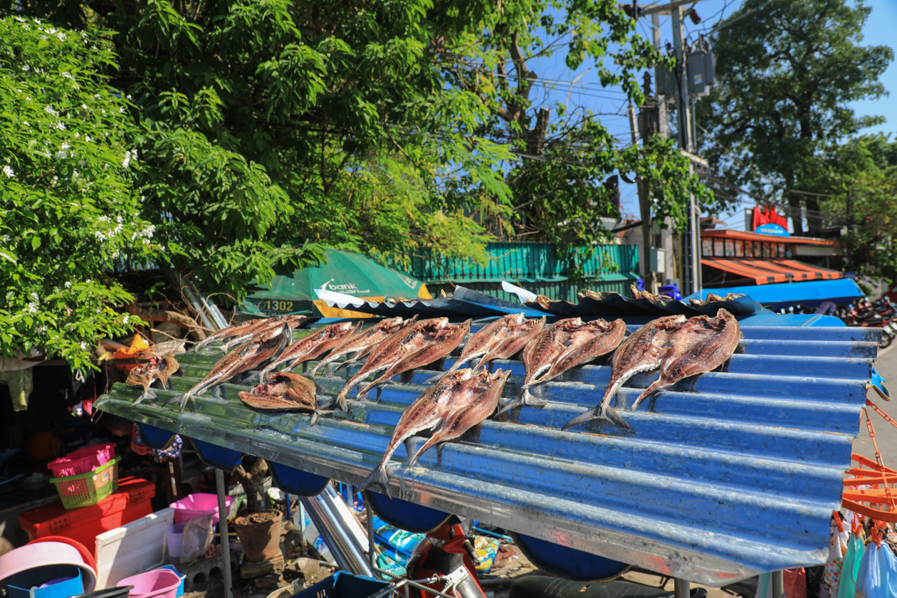 phuket-rawai-gedroogde-vis