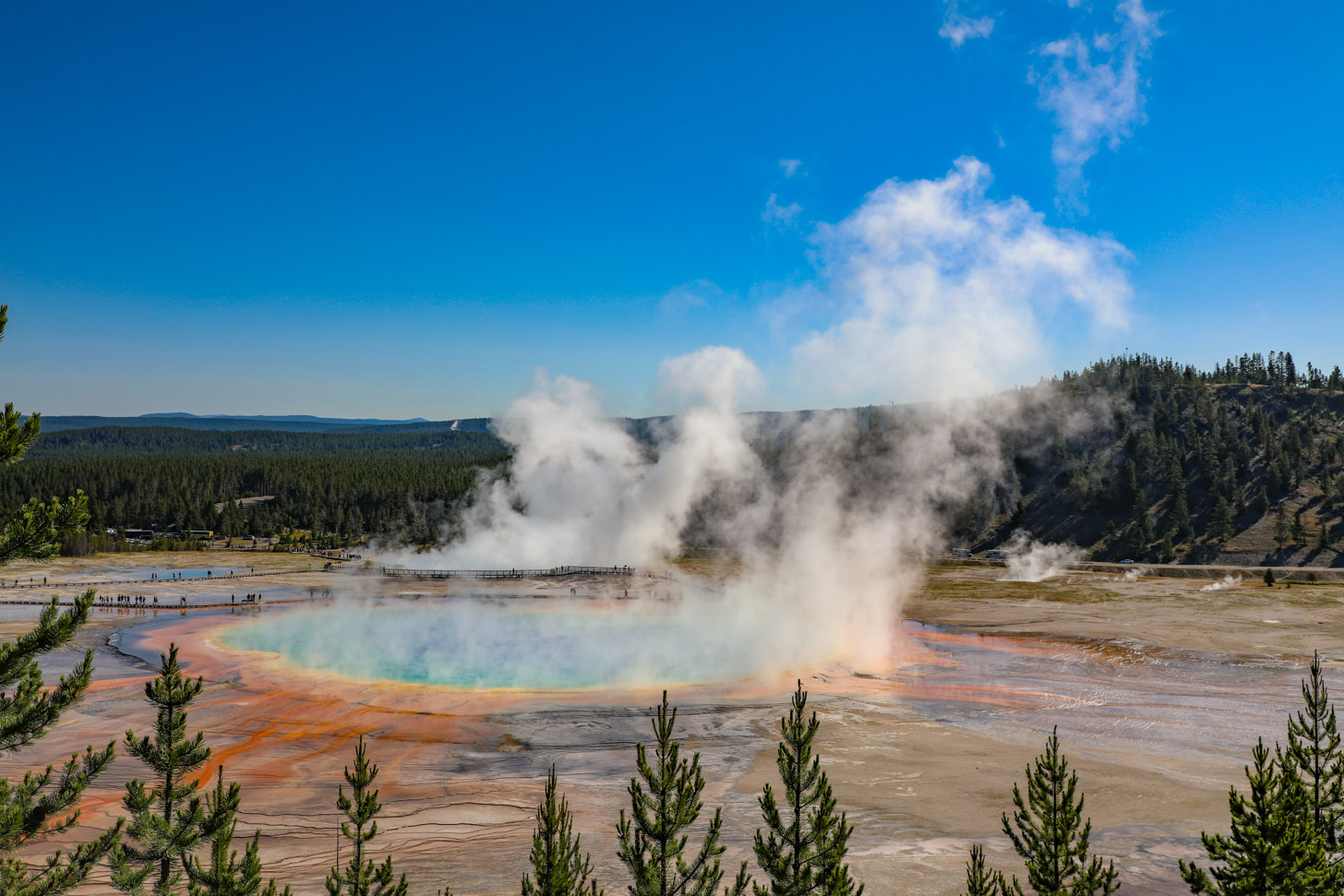 Yellowstone in 24 foto's